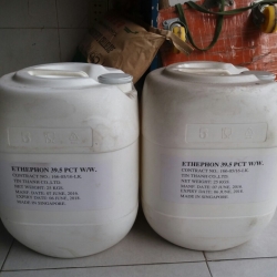 Ethephon 39.5%